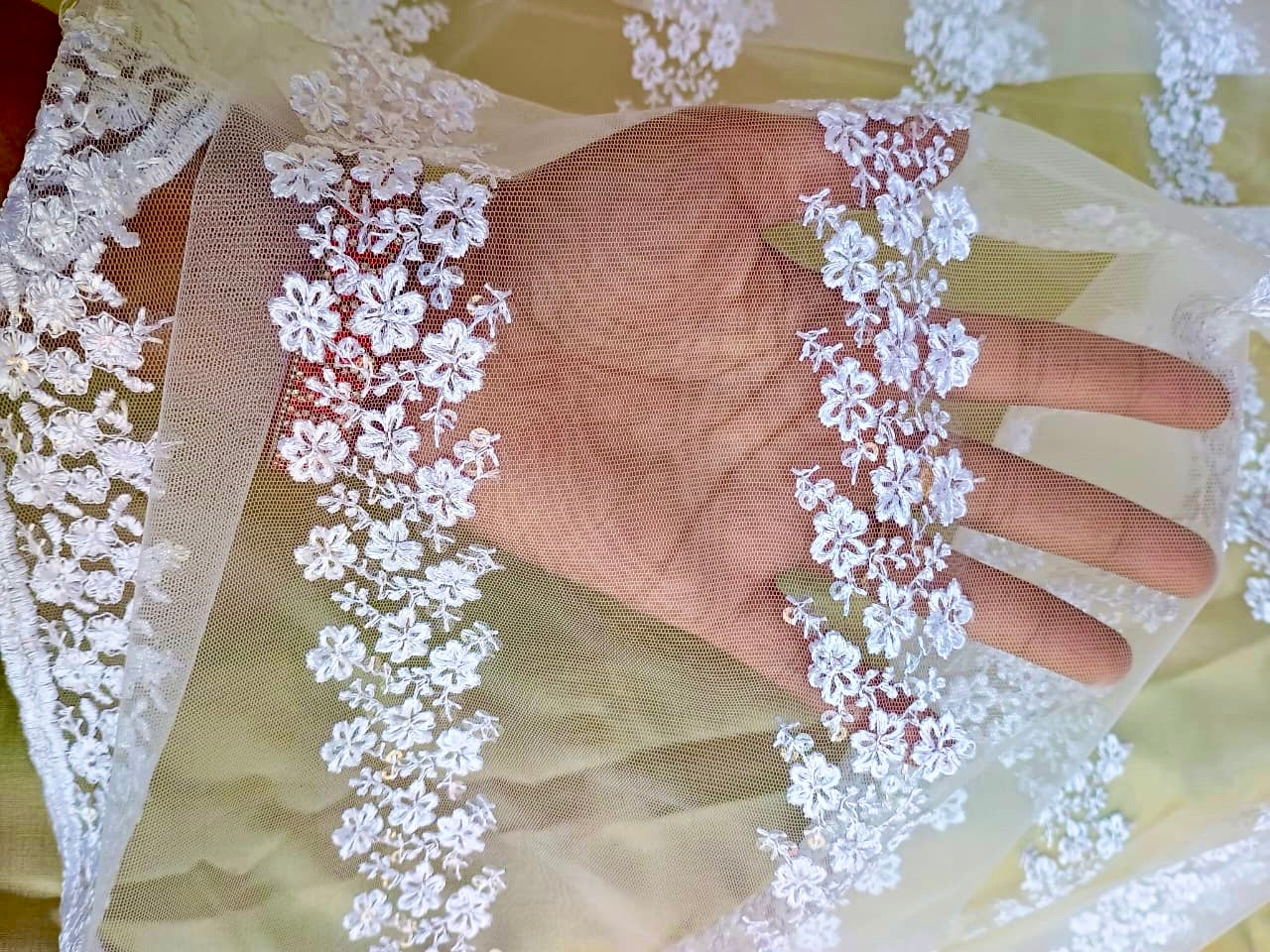 Chikankari with water sequence work Dupatta