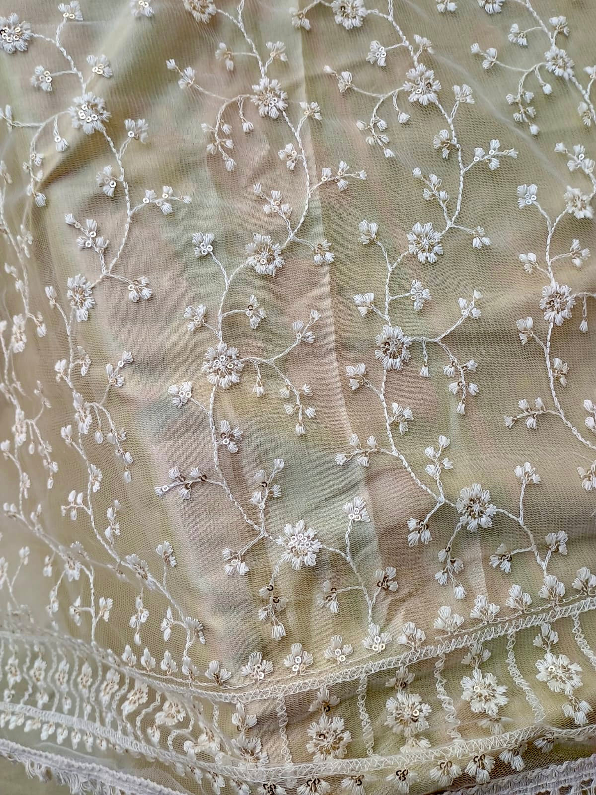 Intricate soft Chikankari Dupatta