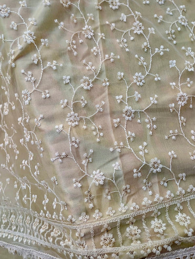 Intricate soft Chikankari Dupatta